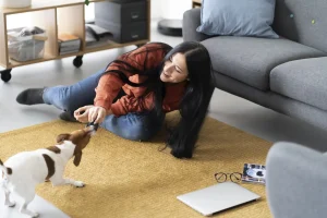 Bringing a Pet to an Apartment?